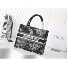 Christian Dior Shopping Bags